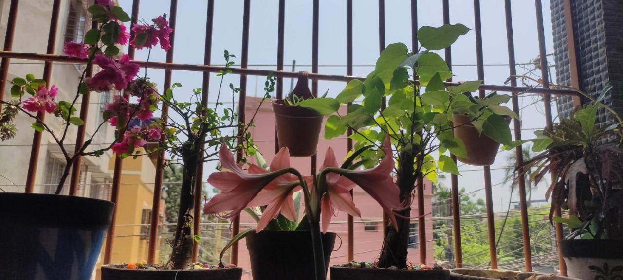 Satrangi Homestay Calcutta Eksteriør billede